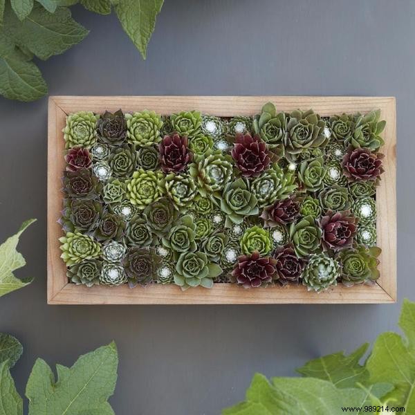 25 Great Decoration Ideas With Succulents. 