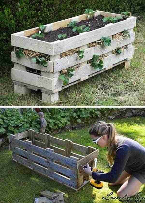 23 Ingenious Tricks To Simplify Your Gardening. 