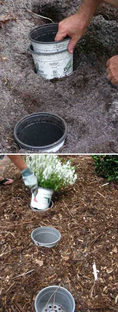 23 Ingenious Tricks To Simplify Your Gardening. 