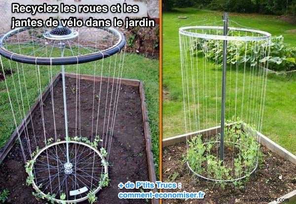 23 Ingenious Tricks To Simplify Your Gardening. 