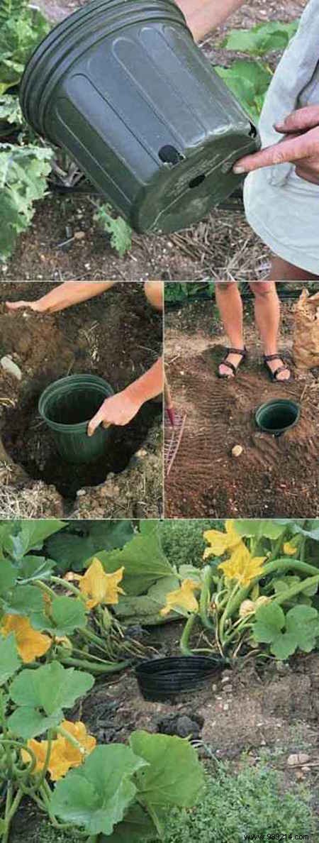 23 Ingenious Tricks To Simplify Your Gardening. 