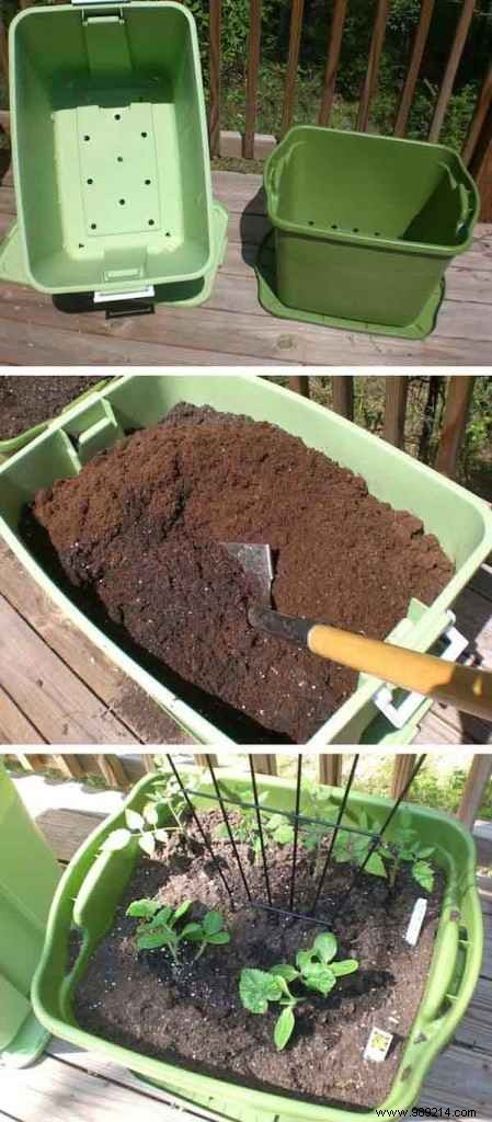 23 Ingenious Tricks To Simplify Your Gardening. 