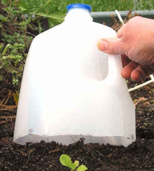 23 Ingenious Tricks To Simplify Your Gardening. 