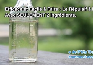 Effective and Easy to Make:Insect Repellent With ONLY 2 Ingredients. 