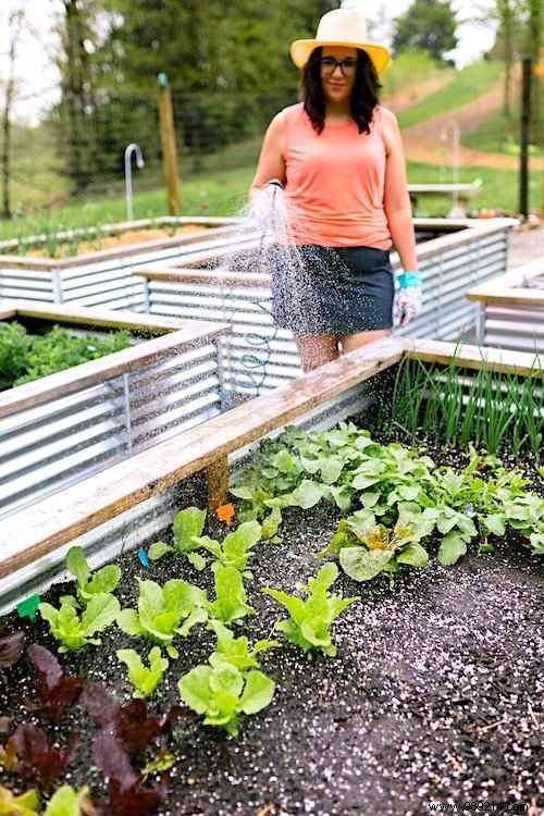 The 7 Mistakes to Avoid to Succeed Your Vegetable Bed from the First Time! 