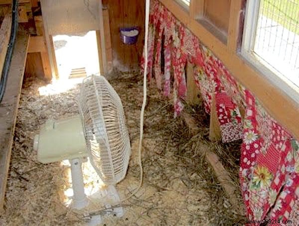 6 Effective Tricks To Get Rid Of Flies In The Chicken Coop. 