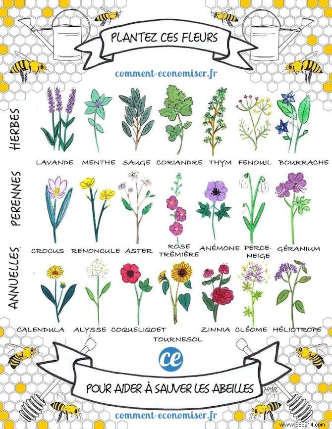 Want to please the bees? Plant These 22 Flowers In Your Garden. 