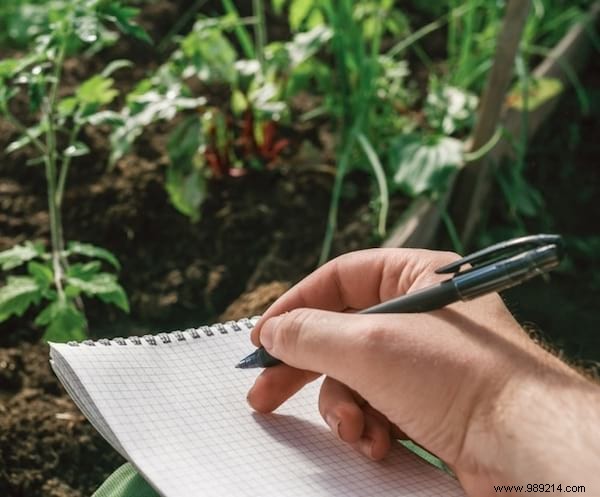 7 Simple Tips To Prepare Your Vegetable Garden For Winter. 