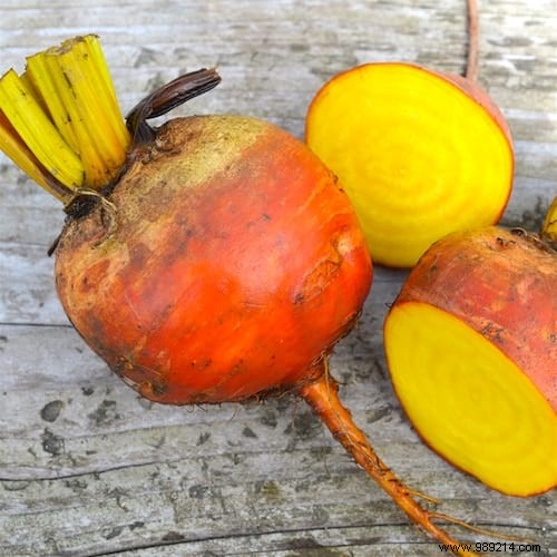 10 Market Gardening Tips To Grow Beautiful BEETS. 