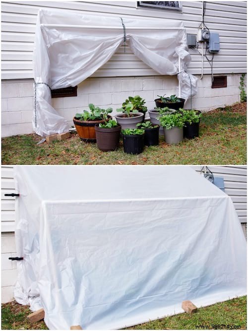 20 Clever Ways to Use PVC Pipes in the Garden. 