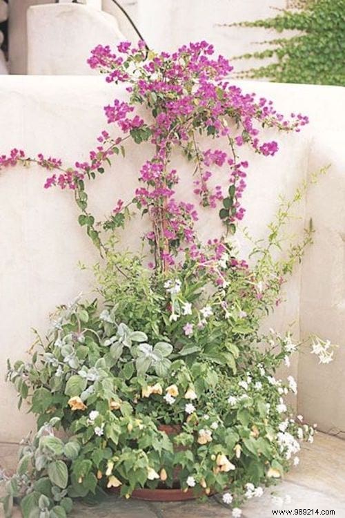 16 Planter Ideas To Beautify Your Garden (Easy And Original). 