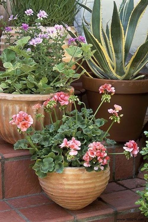 16 Planter Ideas To Beautify Your Garden (Easy And Original). 