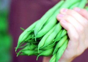 10 Market Gardening Tips To Grow Beautiful GREEN BEANS. 