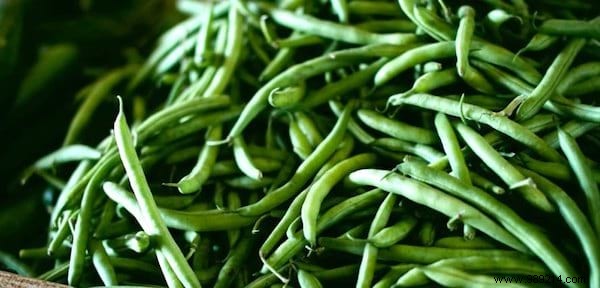 10 Market Gardening Tips To Grow Beautiful GREEN BEANS. 