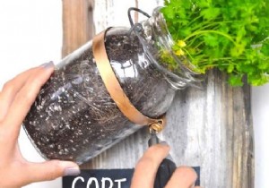 How to turn jars into a herb garden. 