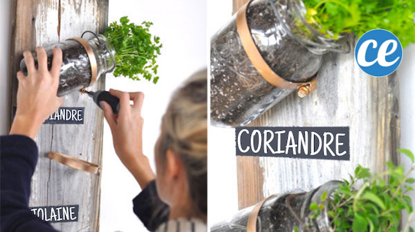 How to turn jars into a herb garden. 