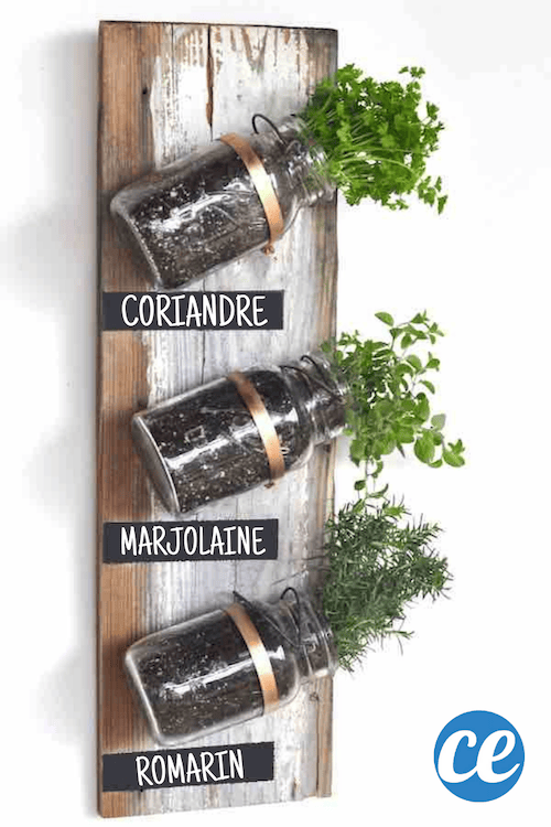 How to turn jars into a herb garden. 