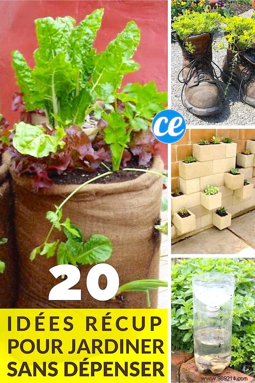 20 Great Recycling Ideas To Save Money In The Garden. 