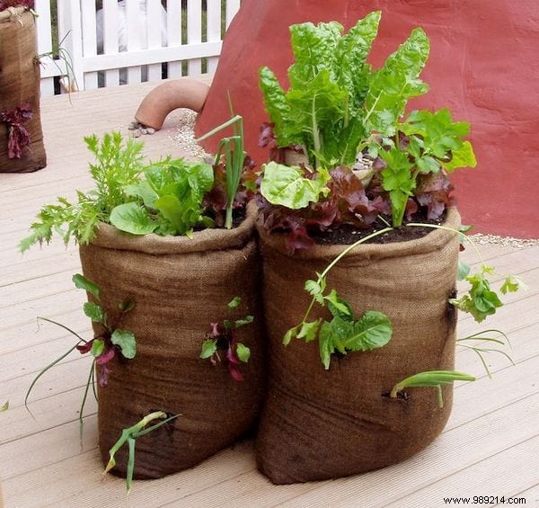 20 Great Recycling Ideas To Save Money In The Garden. 