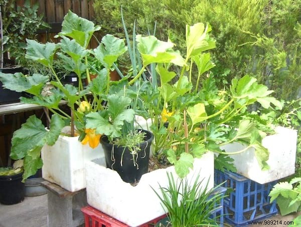 20 Great Recycling Ideas To Save Money In The Garden. 