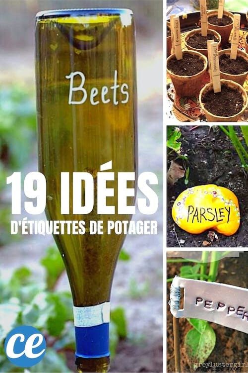 19 Great Ideas to Make Beautiful Vegetable Garden Labels for Free. 