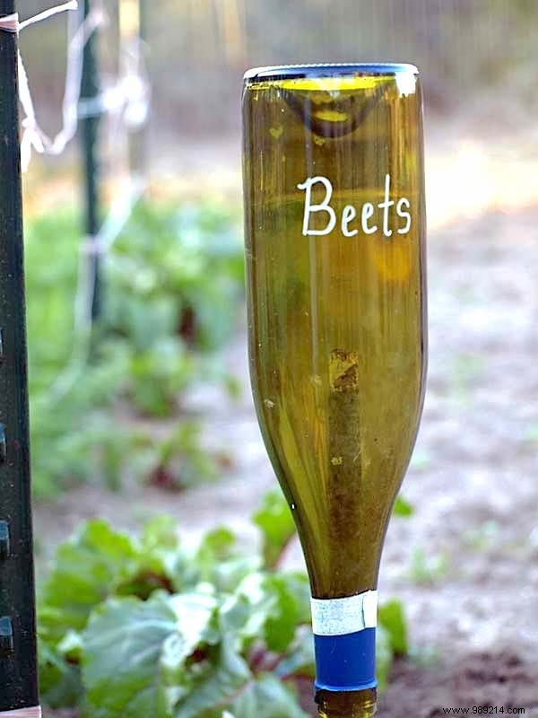 19 Great Ideas to Make Beautiful Vegetable Garden Labels for Free. 