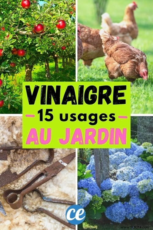 15 Good Reasons to Use Vinegar in the Garden. 