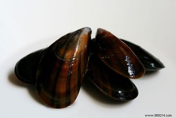 Mouclade Charentaise:An Easy and Economical Mussels Recipe! 