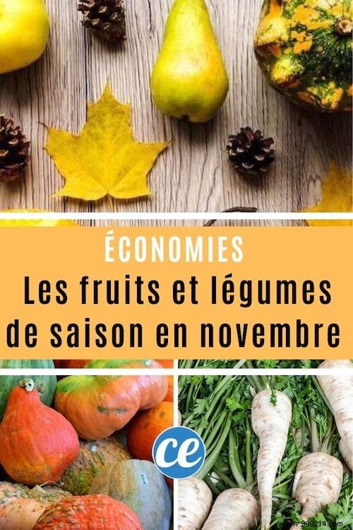 Choose seasonal fruits and vegetables in November to save. 