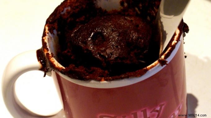 The Cheap and Gourmet Coco-Choco Mug Cake Recipe. 