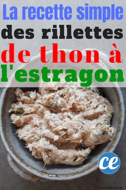 Simple and Light in Cost, Tuna Rillettes with Tarragon! 