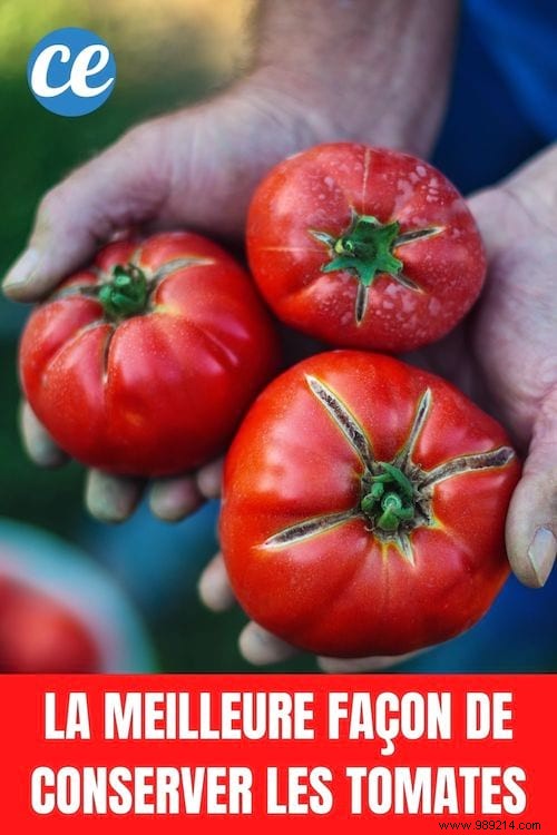 The One and Only Way to Store Tomatoes Properly. 