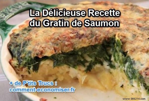 The Delicious Salmon Gratin Recipe. 