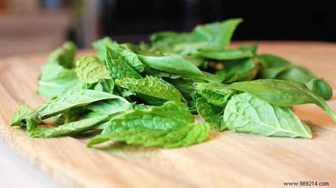 The Homemade Mint Syrup Recipe. 