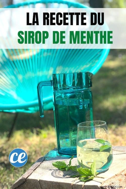 The Homemade Mint Syrup Recipe. 