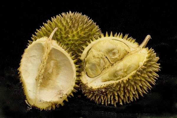 20 Incredible Fruits NOBODY KNOWS. 