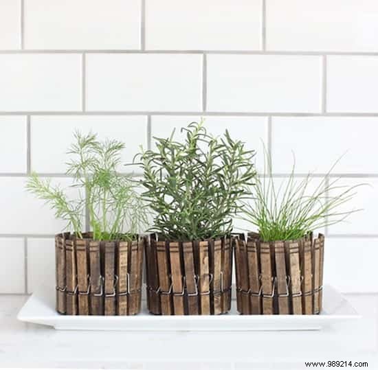 Herbs:18 Clever Ways to Grow Them Indoors. 