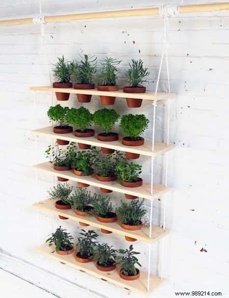 Herbs:18 Clever Ways to Grow Them Indoors. 