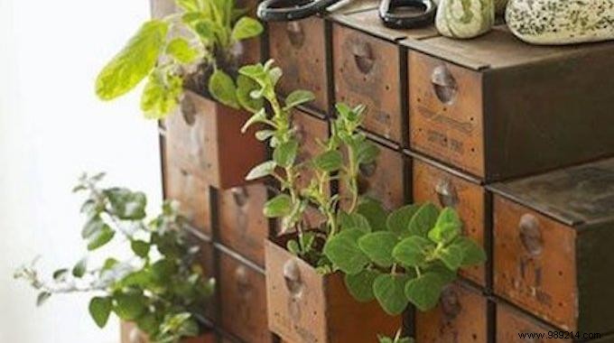 Herbs:18 Clever Ways to Grow Them Indoors. 