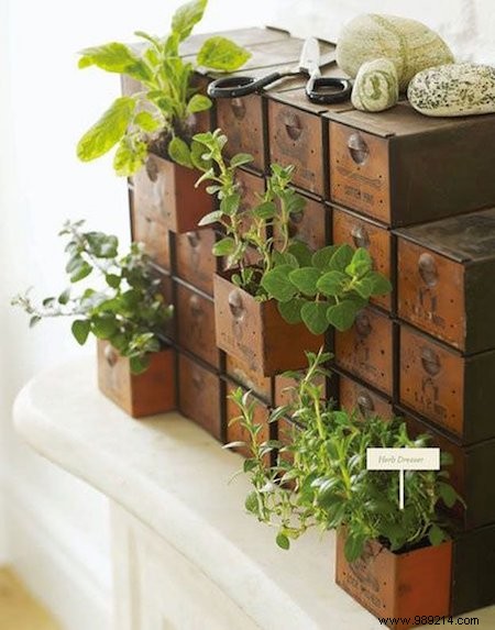 Herbs:18 Clever Ways to Grow Them Indoors. 