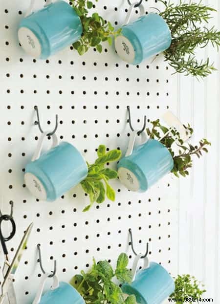 Herbs:18 Clever Ways to Grow Them Indoors. 