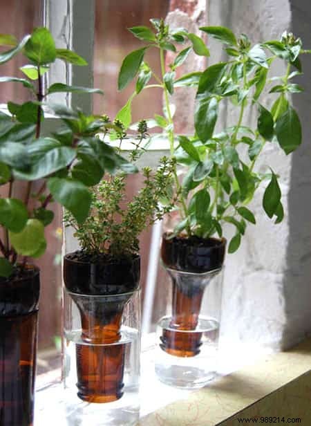 Herbs:18 Clever Ways to Grow Them Indoors. 