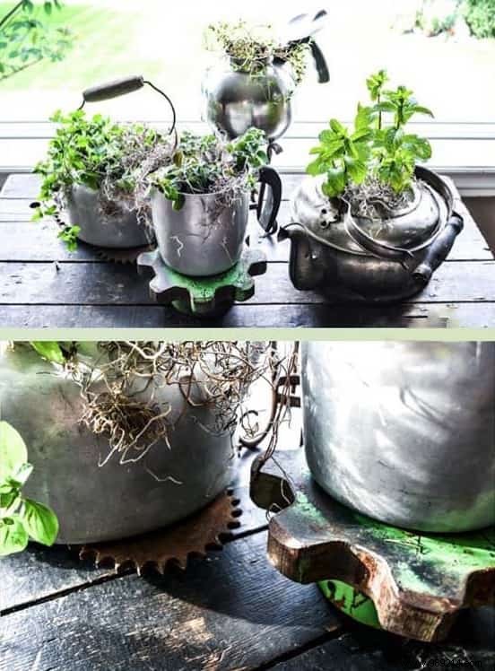 Herbs:18 Clever Ways to Grow Them Indoors. 