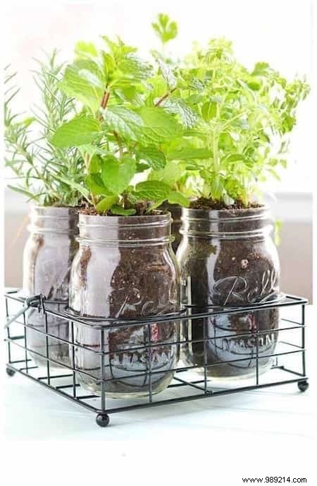 Herbs:18 Clever Ways to Grow Them Indoors. 