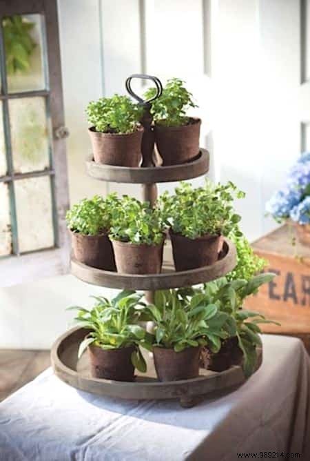 Herbs:18 Clever Ways to Grow Them Indoors. 