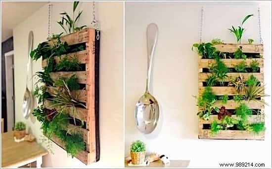 Herbs:18 Clever Ways to Grow Them Indoors. 