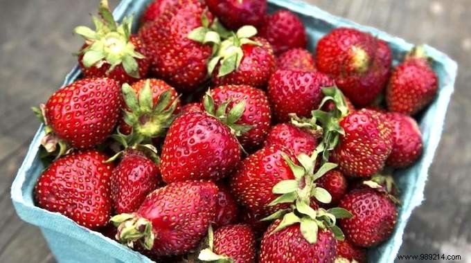 4 Simple Tricks To Keep Strawberries Twice As Long. 