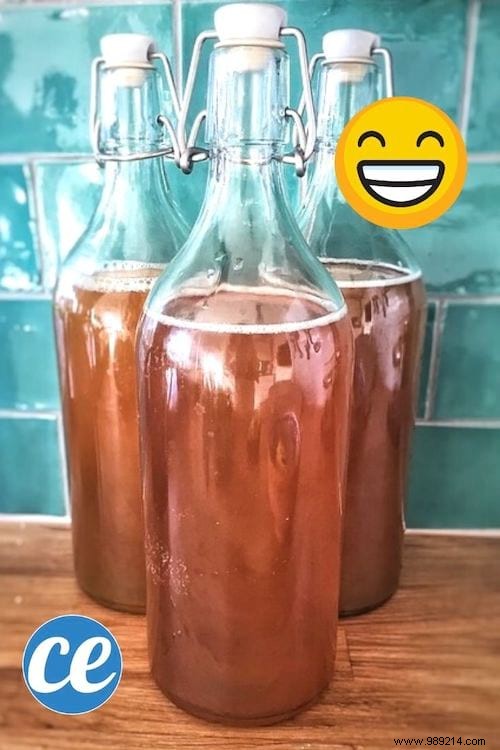 The EASY Homemade Kombucha Recipe (Only 4 Steps). 