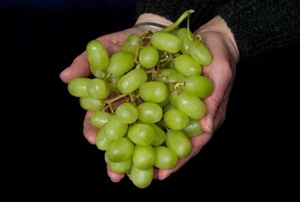 My Grape Pulp Lifting Mask For A Perfect Complexion. 