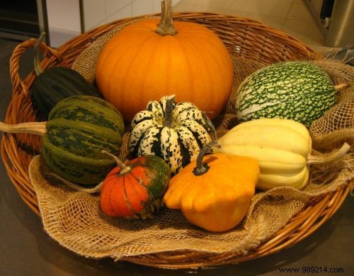 The Pumpkin, an Exceptional Food for Health. 